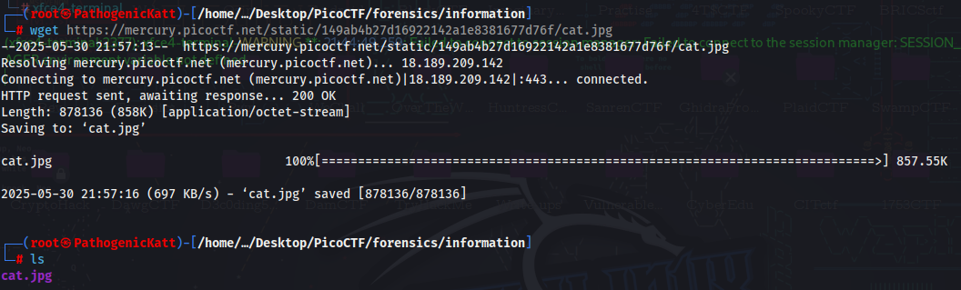 Challenge screenshot