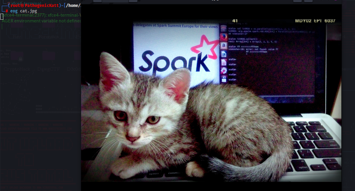 Challenge screenshot