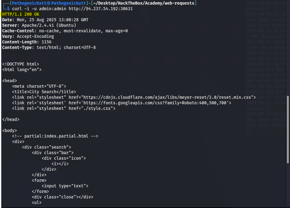 htb-logged-in-terminal